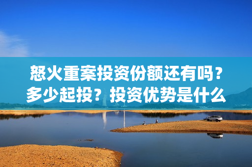怒火重案投资份额还有吗？多少起投？投资优势是什么？(怒火重案的投资)