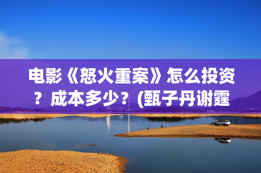 电影《怒火重案》怎么投资？成本多少？(甄子丹谢霆锋电影怒火重案)