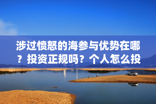 涉过愤怒的海参与优势在哪？投资正规吗？个人怎么投资？(涉过愤怒的海参演的日本演员)