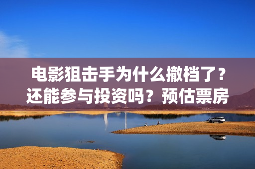 电影狙击手为什么撤档了？还能参与投资吗？预估票房能有多少呢？(狙击手电影为什么撤档)