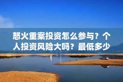 怒火重案投资怎么参与？个人投资风险大吗？最低多少起投？(怒火重案投了多少钱)