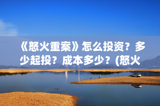 《怒火重案》怎么投资？多少起投？成本多少？(怒火重案说的是什么)