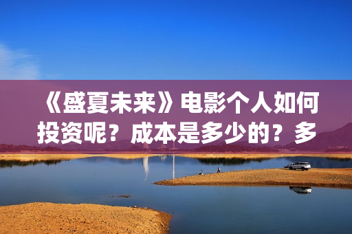 《盛夏未来》电影个人如何投资呢？成本是多少的？多少起投呢、(盛夏未来高清版)