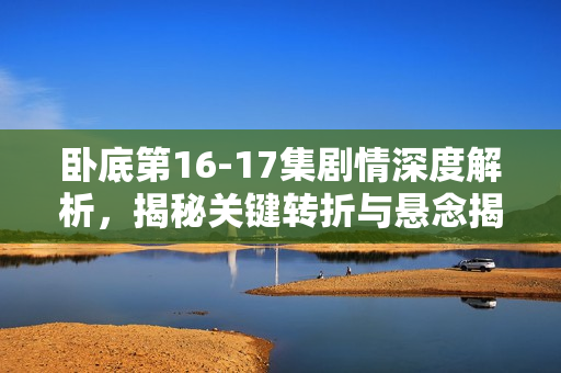卧底第16-17集剧情深度解析，揭秘关键转折与悬念揭晓