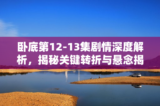 卧底第12-13集剧情深度解析，揭秘关键转折与悬念揭晓
