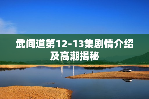 武间道第12-13集剧情介绍及高潮揭秘