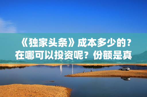 《独家头条》成本多少的？在哪可以投资呢？份额是真实的吗？(电影独家头条讲了个啥)