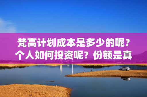 梵高计划成本是多少的呢？个人如何投资呢？份额是真实的吗、(梵高的计划)