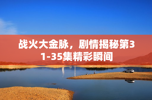 战火大金脉，剧情揭秘第31-35集精彩瞬间