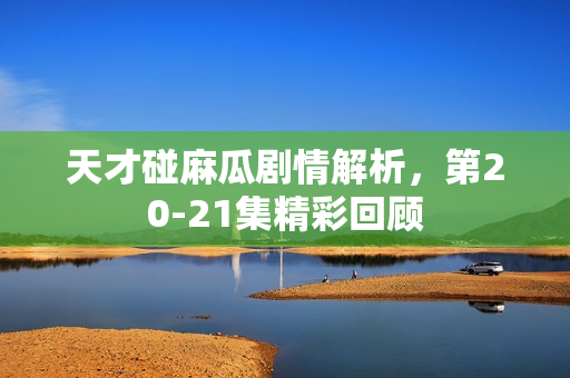 天才碰麻瓜剧情解析,第20-21集精彩回顾 天才碰麻瓜剧情解析,第20-21集精彩回顾
