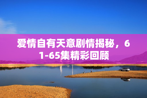 爱情自有天意剧情揭秘，61-65集精彩回顾