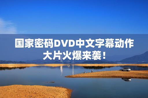国家密码DVD中文字幕动作大片火爆来袭！