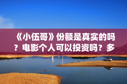《小伍哥》份额是真实的吗？电影个人可以投资吗？多少起投呢？(小伍哥预计上映时间)