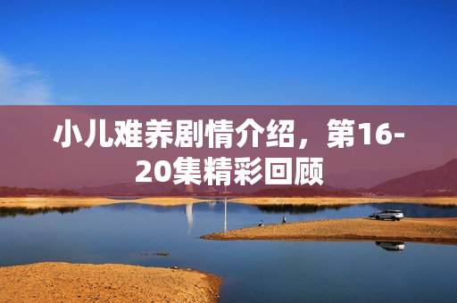 小儿难养剧情介绍，第16-20集精彩回顾