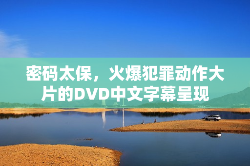 密码太保，火爆犯罪动作大片的DVD中文字幕呈现