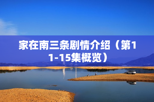 家在南三条剧情介绍（第11-15集概览）