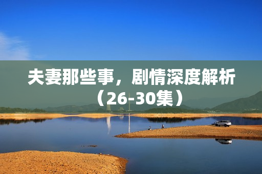 夫妻那些事，剧情深度解析（26-30集）