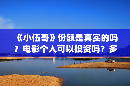 《小伍哥》份额是真实的吗？电影个人可以投资吗？多少起投呢？(小伍哥是谁呀)