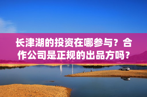 长津湖的投资在哪参与？合作公司是正规的出品方吗？(长津湖投资了几个亿)