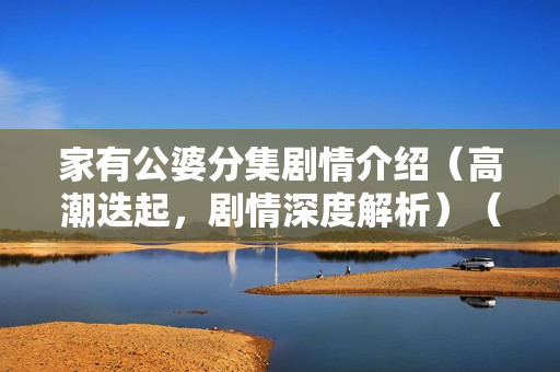 家有公婆分集剧情介绍（高潮迭起，剧情深度解析）（31-35集）