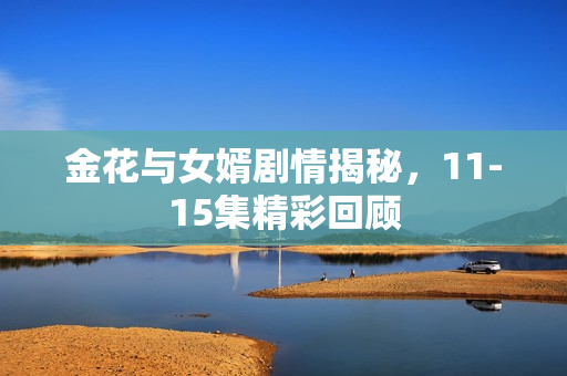 金花与女婿剧情揭秘，11-15集精彩回顾