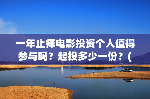 一年止痒电影投资个人值得参与吗？起投多少一份？(电影一年之痒演员表)