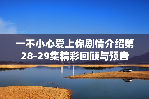 一不小心爱上你剧情介绍第28-29集精彩回顾与预告