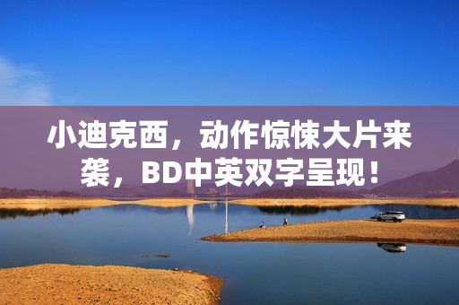 小迪克西，动作惊悚大片来袭，BD中英双字呈现！