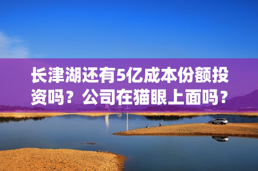 长津湖还有5亿成本份额投资吗？公司在猫眼上面吗？(长津湖45亿)