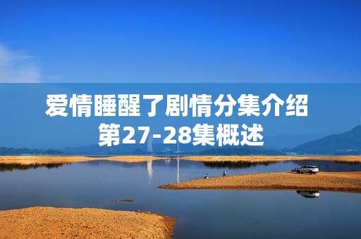 爱情睡醒了剧情分集介绍 第27-28集概述