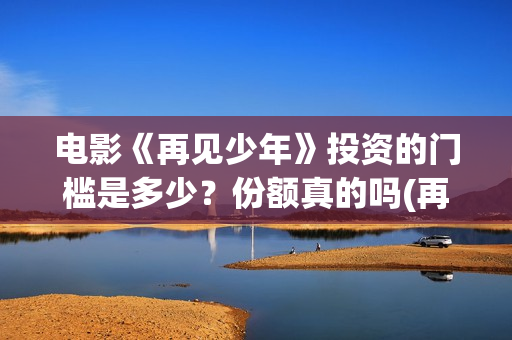 电影《再见少年》投资的门槛是多少？份额真的吗(再见少年电影啥意思)