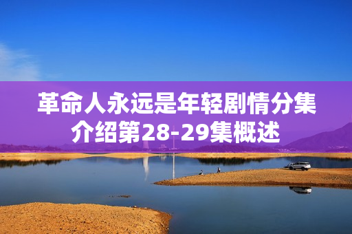 革命人永远是年轻剧情分集介绍第28-29集概述