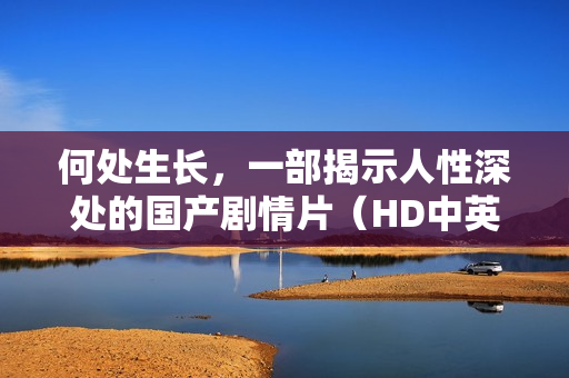 何处生长，一部揭示人性深处的国产剧情片（HD中英双字字幕）