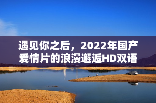 遇见你之后，2022年国产爱情片的浪漫邂逅HD双语字幕版上线
