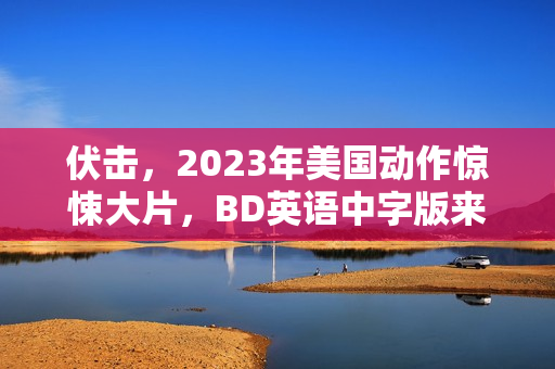 伏击，2023年美国动作惊悚大片，BD英语中字版来袭