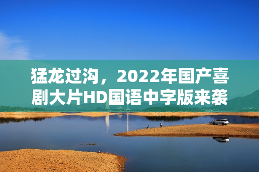 猛龙过沟，2022年国产喜剧大片HD国语中字版来袭