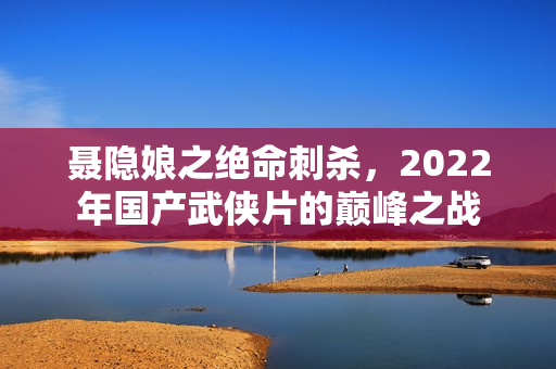 聂隐娘之绝命刺杀，2022年国产武侠片的巅峰之战