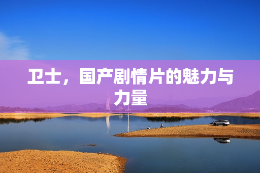 卫士，国产剧情片的魅力与力量