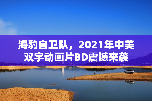海豹自卫队，2021年中美双字动画片BD震撼来袭