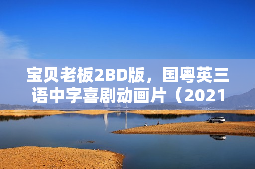 宝贝老板2BD版，国粤英三语中字喜剧动画片（2021年）