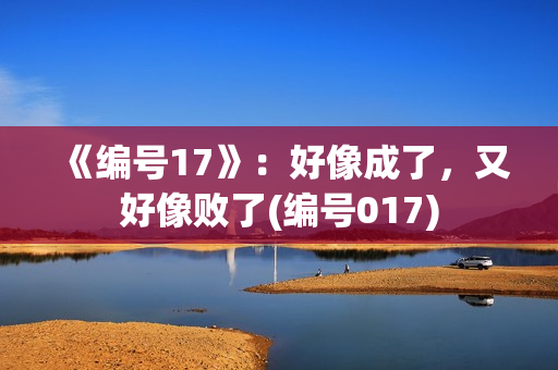《编号17》：好像成了，又好像败了(编号017)