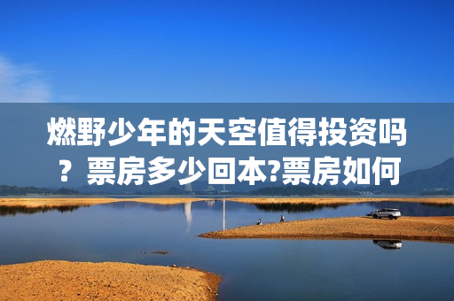 燃野少年的天空值得投资吗？票房多少回本?票房如何分账的?(燃野少年的天空演员表介绍)