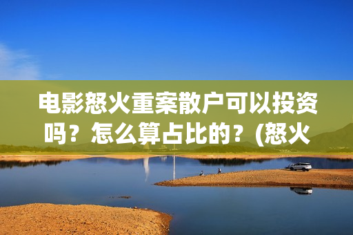 电影怒火重案散户可以投资吗？怎么算占比的？(怒火重案原版)