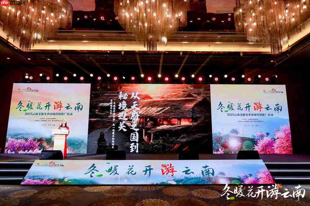 冬暖花开游云南 文旅联动谱新篇
