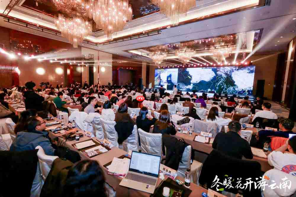 冬暖花开游云南 文旅联动谱新篇