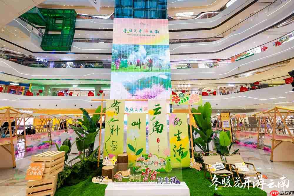 冬暖花开游云南 文旅联动谱新篇