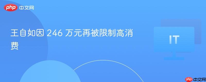 王自如因巨额债务再次被限制高消费，涉及金额达246万元