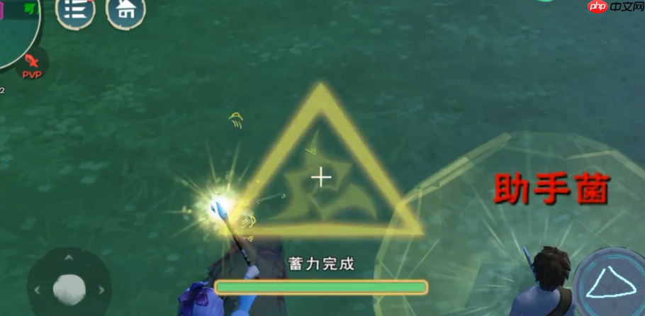 解锁法杖魔法的秘密提升你的冒险技能