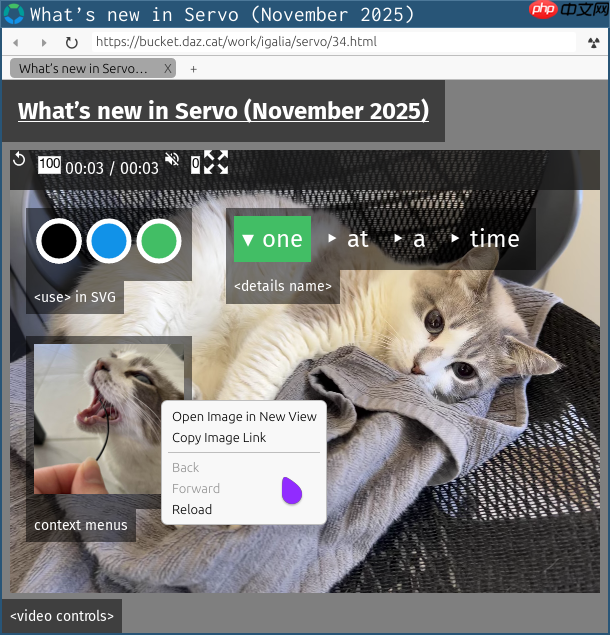 开源 Rust 浏览器引擎 Servo 0.0.3 发布,性能显著提升