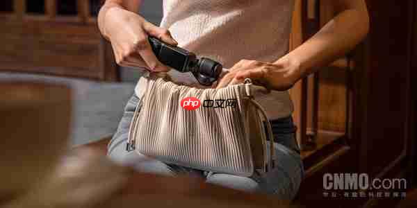 OPPO、vivo们排队进入Pocket赛道 手机不香了?